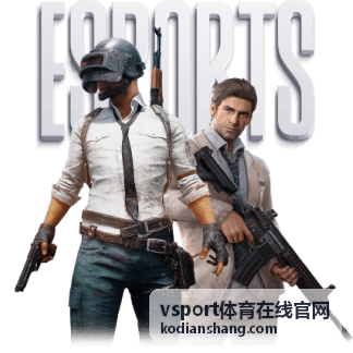 vsport体育在线官网装备指南展示：护踝护膝的佩戴位置与松紧检查